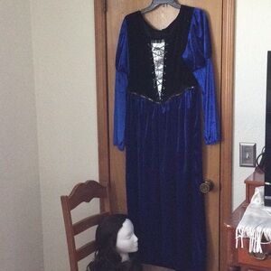 Bundle of wig/Adult Fair Maiden costume.